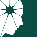 NationalHeadacheFoundation.png